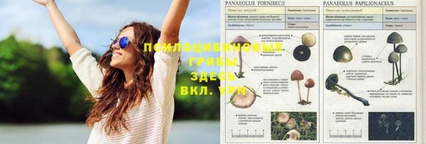 тгк Заволжье