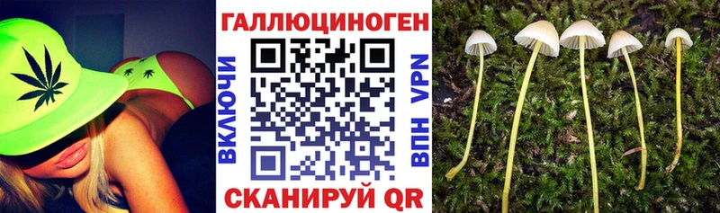 Псилоцибиновые грибы ЛСД  Купить закладки  Сысерть 